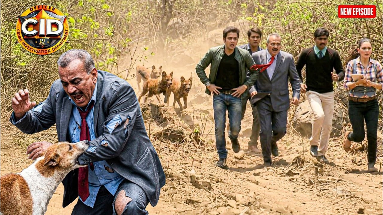 CID टीम पर जंगल में जंगली कुत्तो ने किया जानलेवा हमला  || CID | Latest Episode ||