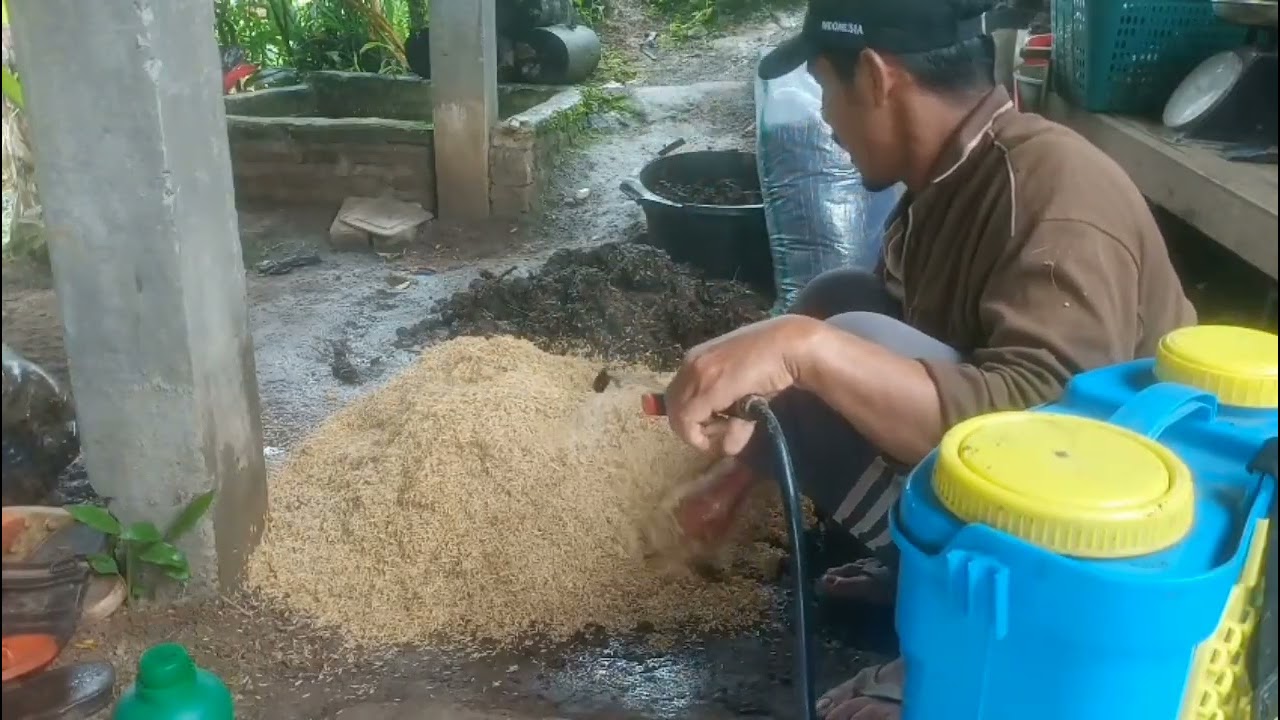 Apa jadinya jika sekam mentah di buat campuran media tanam