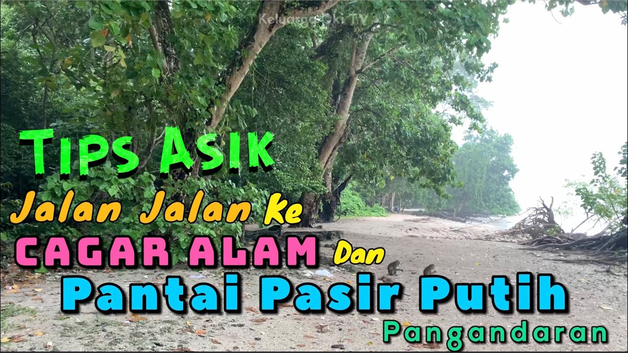 PANTAI PASIR PUTIH & Cagar Alam PANGANDARAN.... TIPS & INFO jalan jalan ..Seru banget