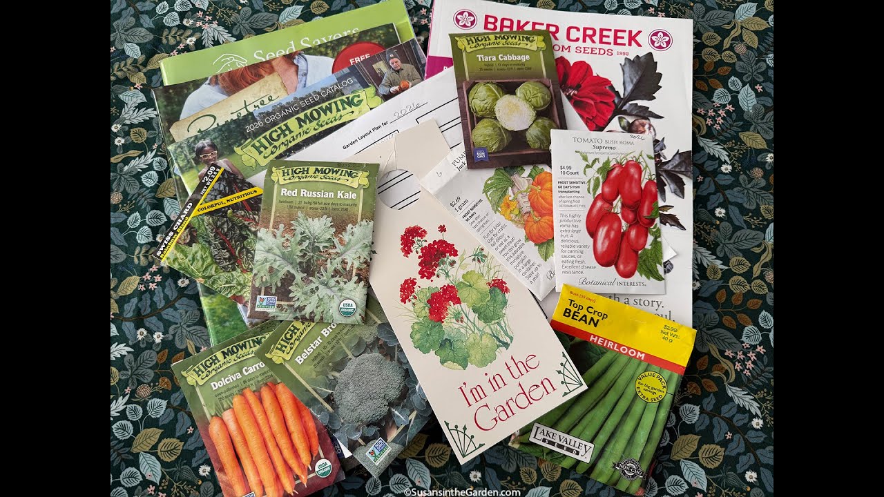 Wonderful Vegetable Varieties for Your 2026 Garden (2026) #1