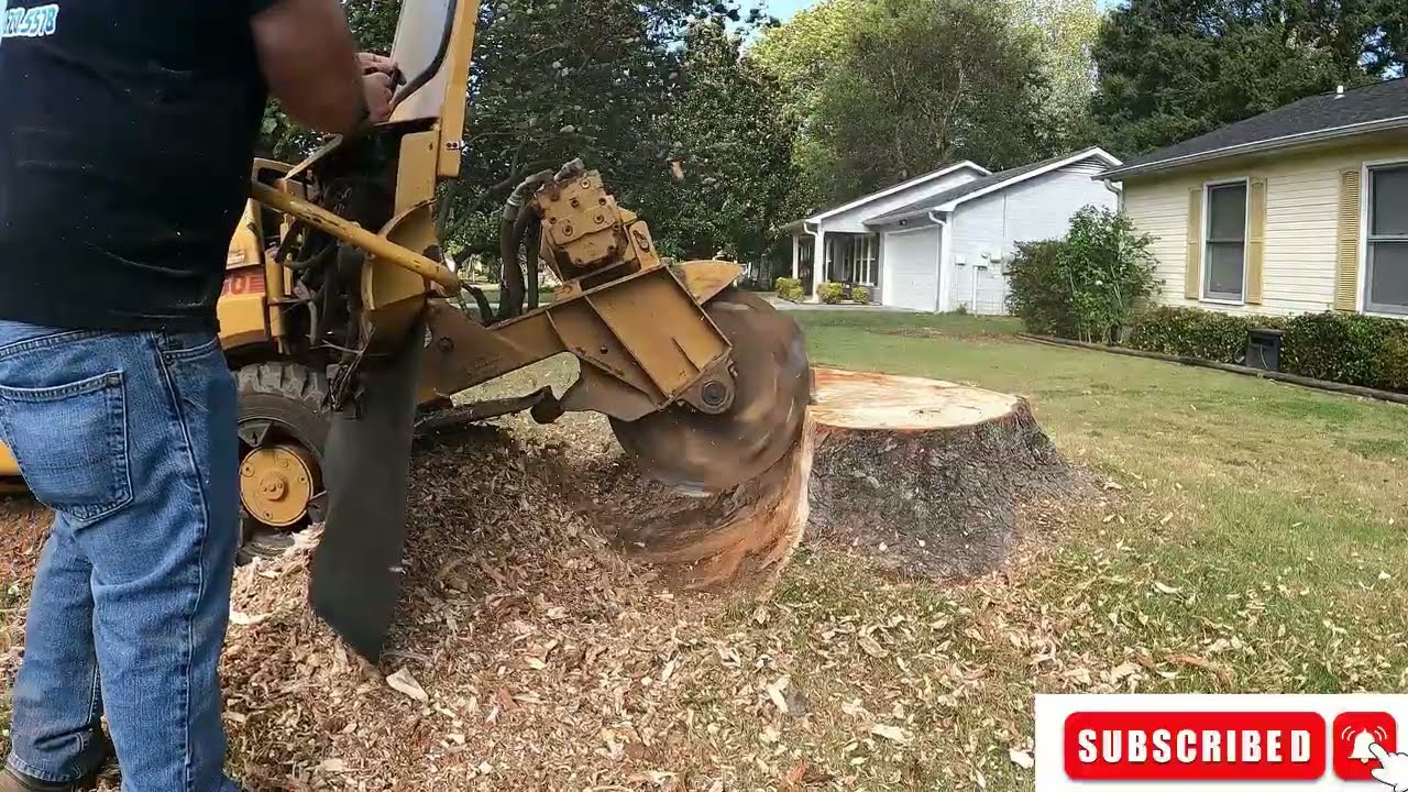 &ldquo;Stump Grinding 4 Stumps in Huntsville, Alabama!&rdquo;