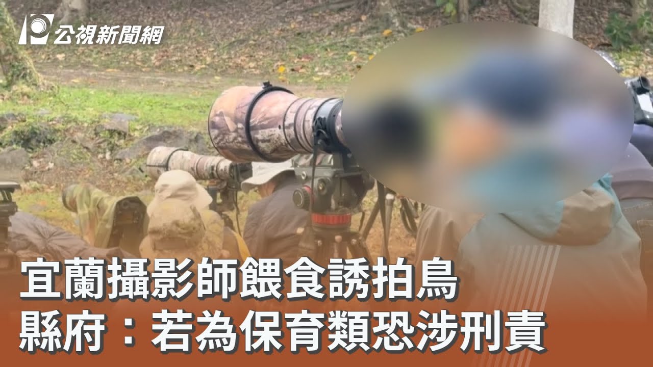 宜蘭攝影師餵食誘拍鳥 縣府：若為保育類恐涉刑責｜20260226 公視午間新聞