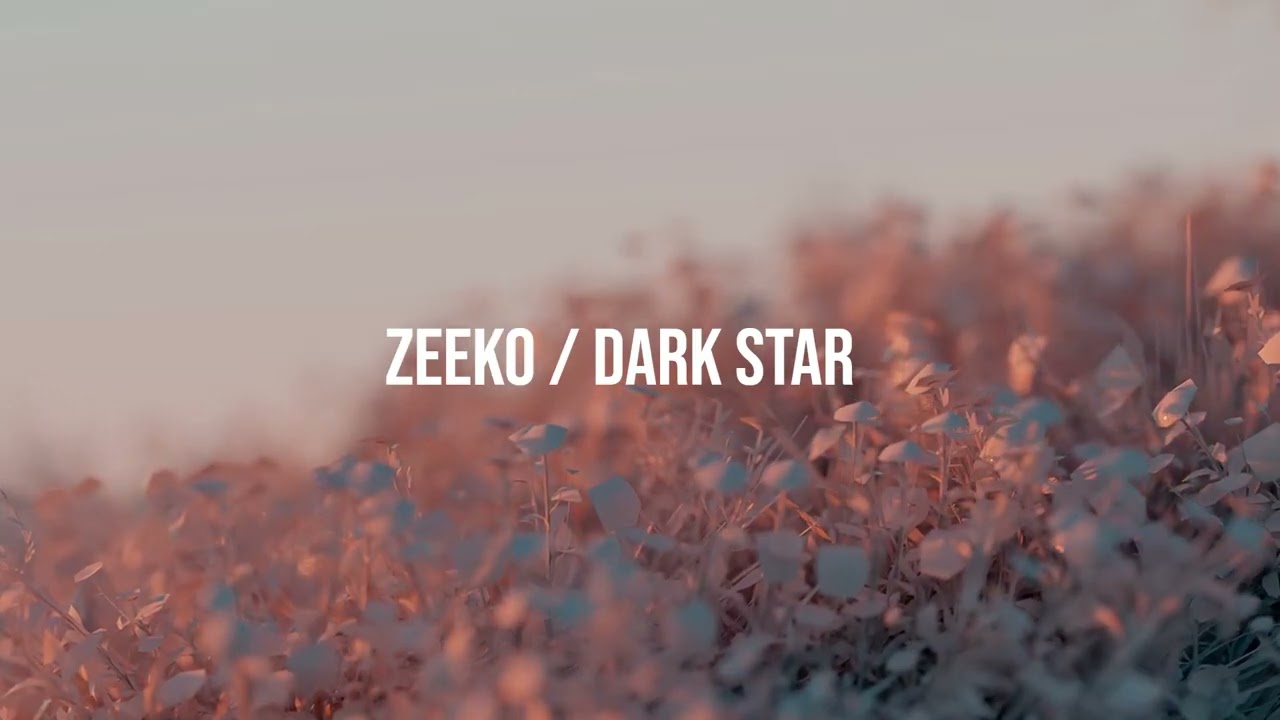 zeeko / darak star