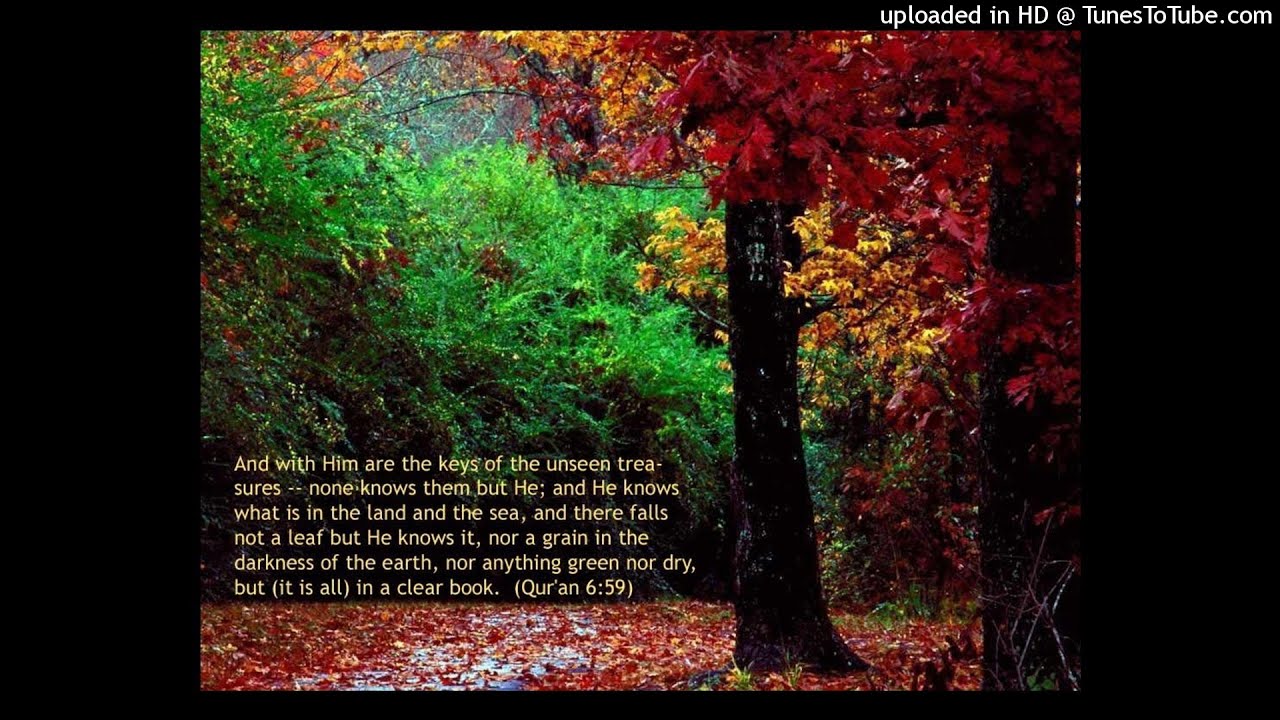 Quran - Abdul Wadood Haneef - Surah 005 - Al-Maidah (TheTableSpread)