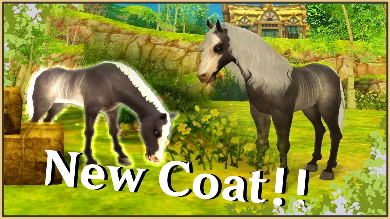 │Alicia Online │ - Breeding Commentary [with voice] - New Black Rabicano coat!!