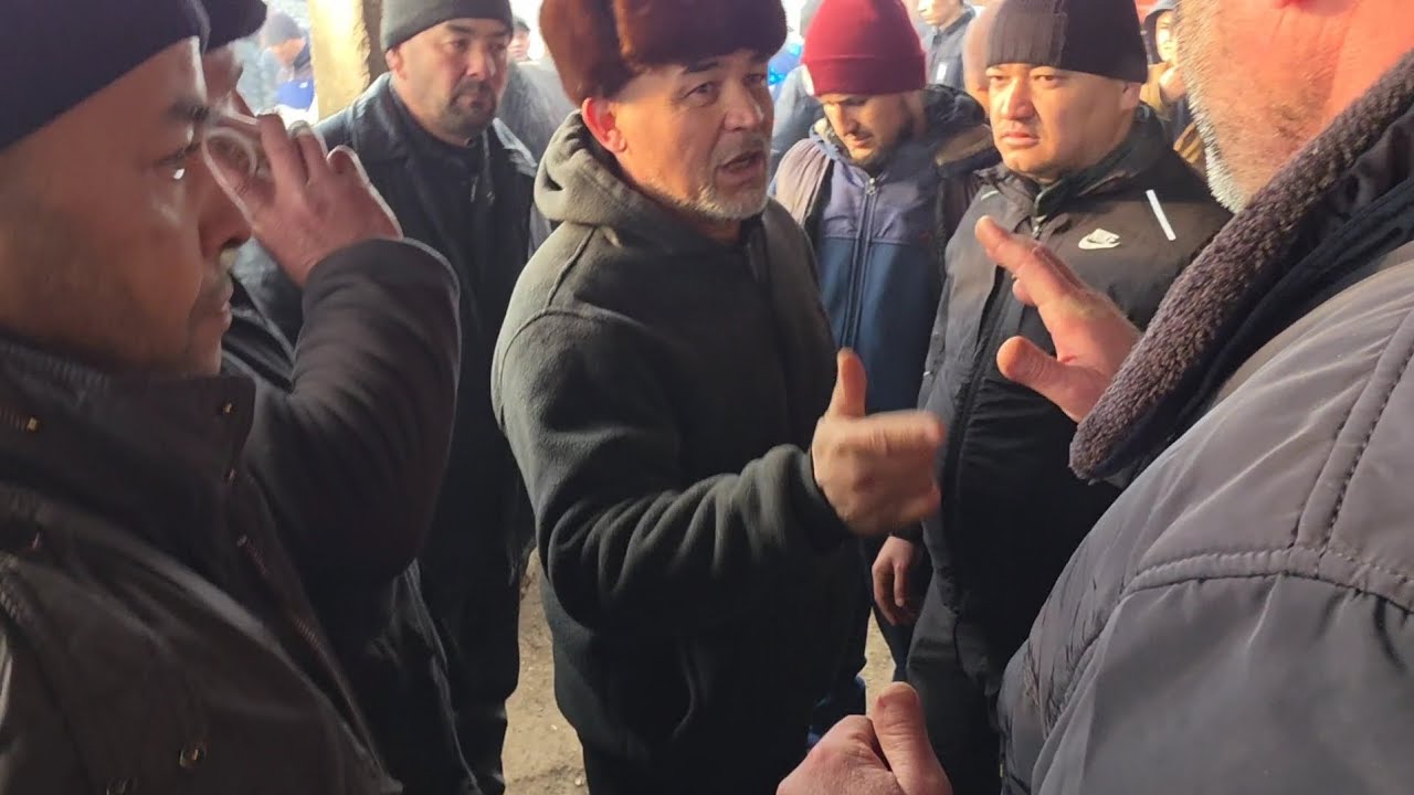 1_TOʻNNA BUQA SAVDOSI BOZOR AVJIDA BUGUN ASAKA UZB 🔥🔥👍👍