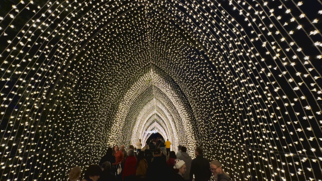 Lightscape 2023 at LA Arboretum