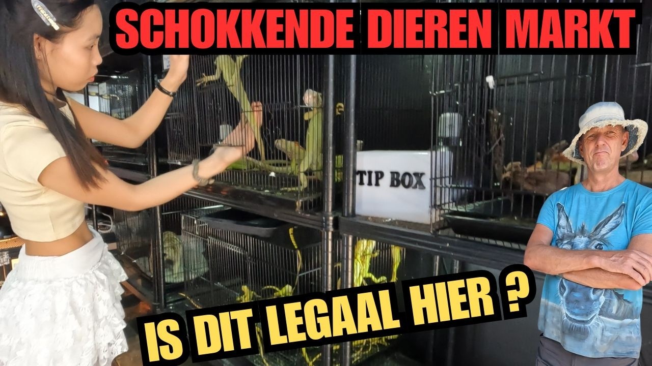 DE DIERENMARKT IN BANGKOK IS DIT LEGAAL ?