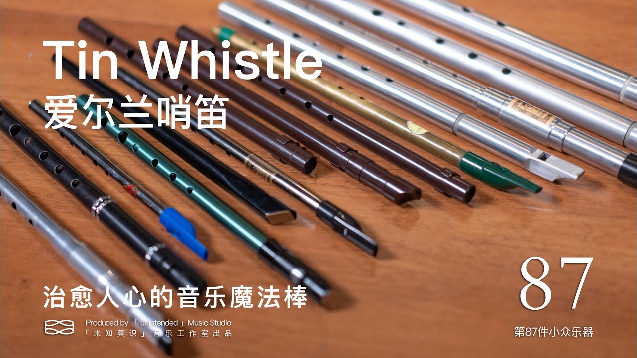 【第87件小众乐器】轻松入门 小巧便携｜初甲林与爱尔兰哨笛
