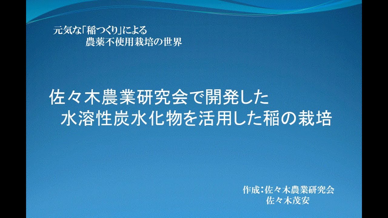 水稲栽培における水溶性炭水化物の効果
