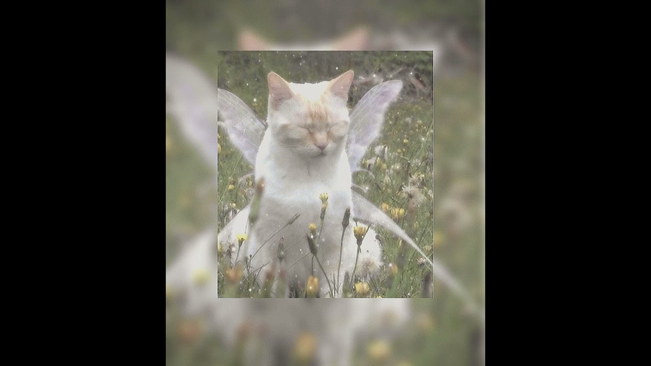 broken clocks - by sza - sped up