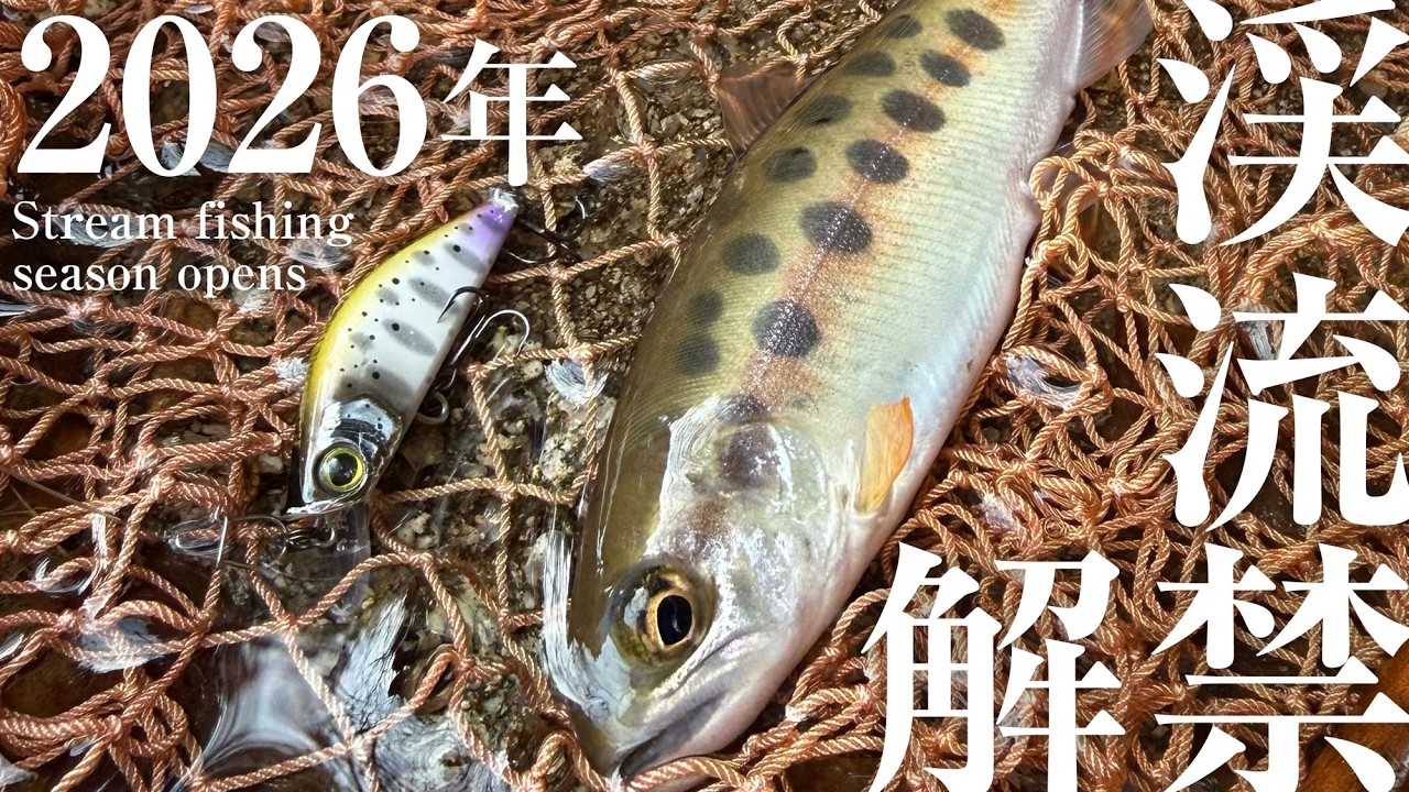 【のんびり釣行】2026年渓流解禁！