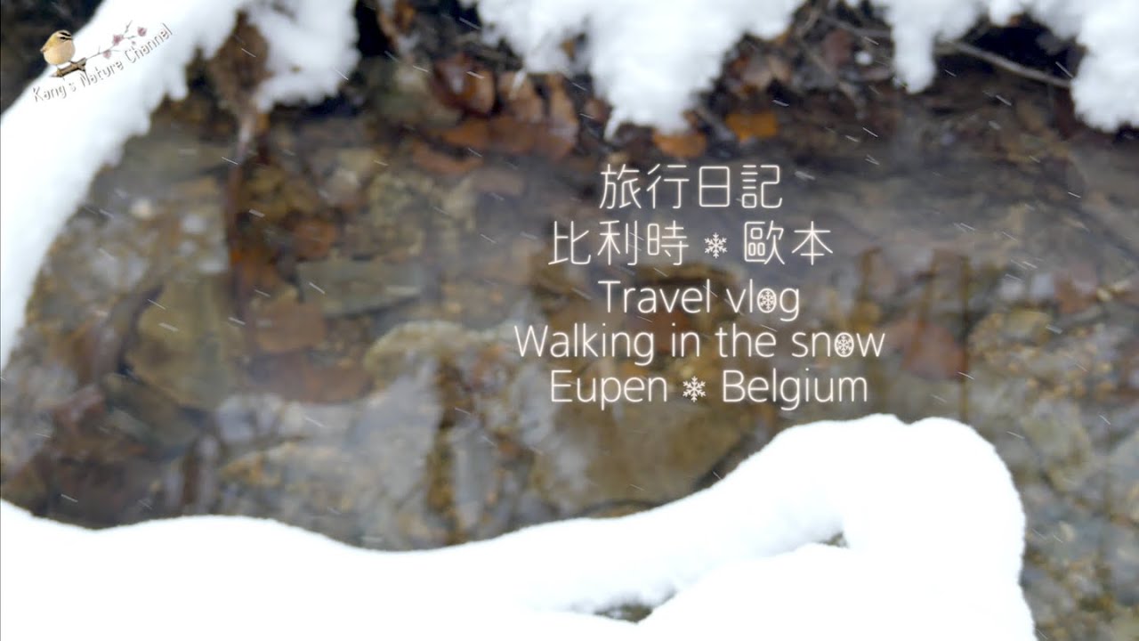 【旅行 vlog】銀白的黑森林-比利時歐本-雪中健行 Travel vlog-Walking in the snow in Eupen, Belgium.
