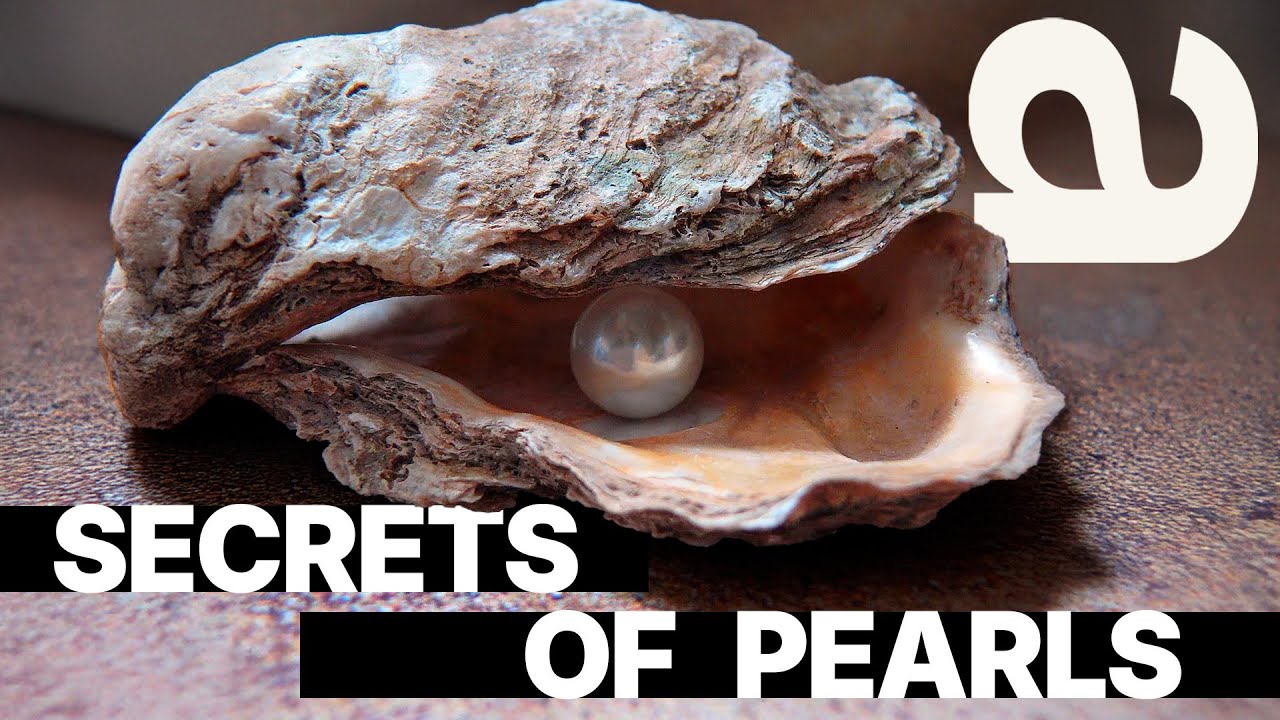 Pearl Power | Unveiling the Allure and Influence of Pearls