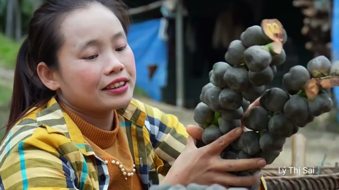 What is the intended use of this fruit? l Lý Thị Sai