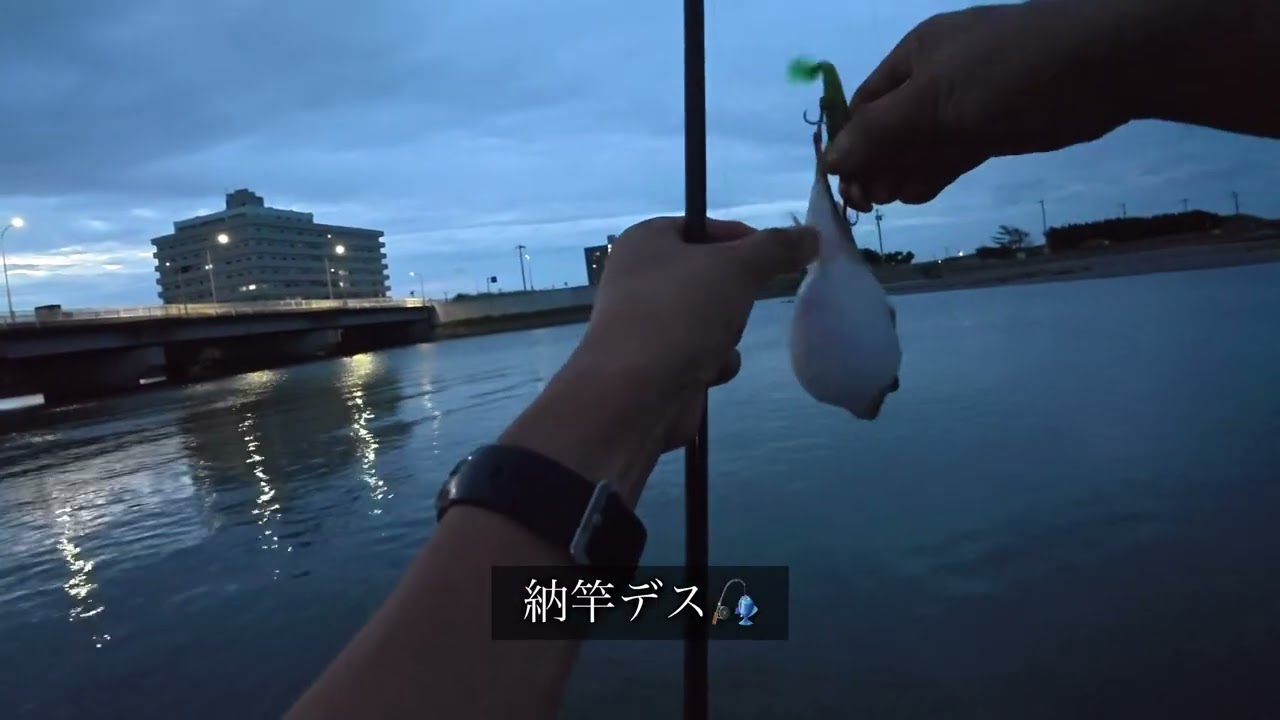 痛恨のバラシあったけど！（南白亀川河口、8月中旬）