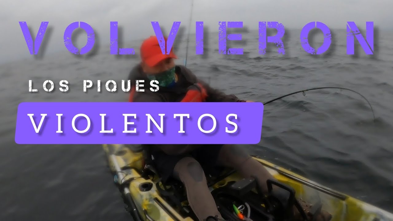 Pesca en Kayak | bonitos en la quinta regi&oacute;n #pescaenkayak #fishing #pesca #chile