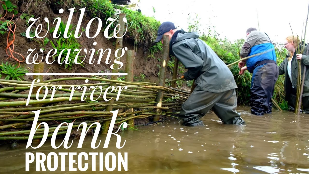 Ayrshire Rivers Trust - Willow weaving, a how to!