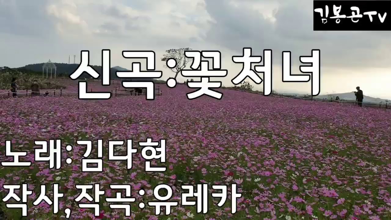❤김다현:新곡❤꽃처녀❤ ❤미스트롯2#청학동국악트롯요정  #작사/작곡: 유레카 #장소:제주도#편집:김다현 #파이팅#경사났네#님이여 #김봉곤TV 구독 감사합니다~♡
