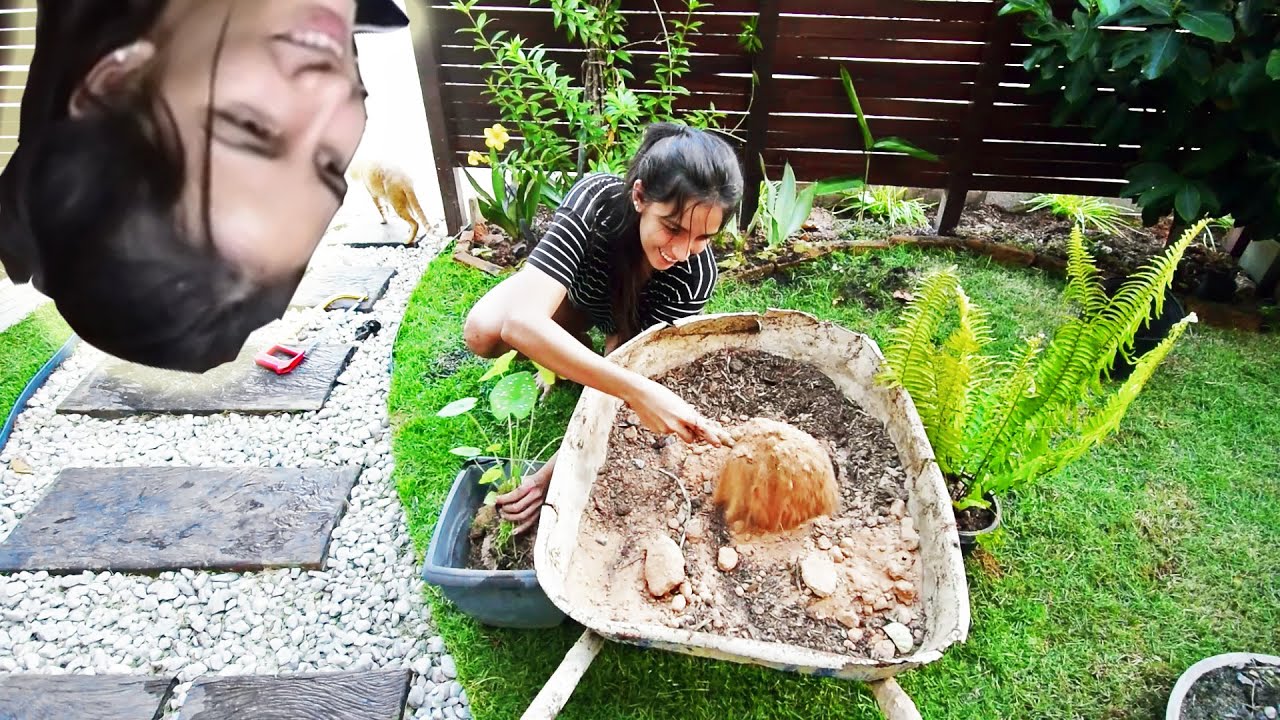 COMO FAZER UM JARDIM BARATO | CANTEIROS DE PLANTAS