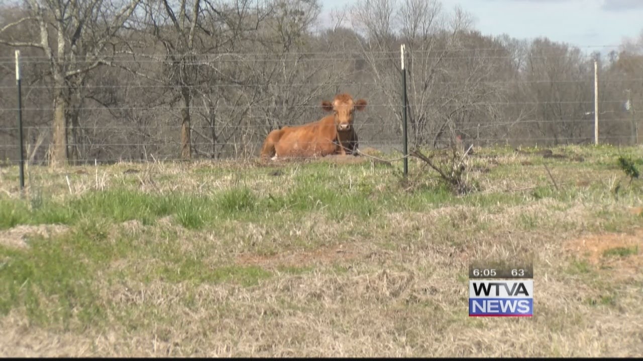 Mississippi farmers are feeling the pinch of inflation and rising gas prices