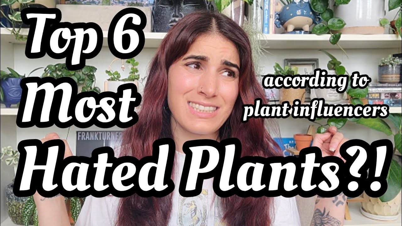 Top 6 Most HATED Plants?!? plant influencers REALLY HATE these plants... do we agree or disagree? 🤔