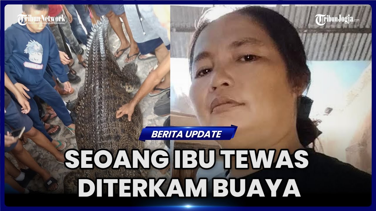 NGERI, SEORANG IBU TEWAS DITERKAM BUAYA MUARA SAAT MANDI DI PANTAI