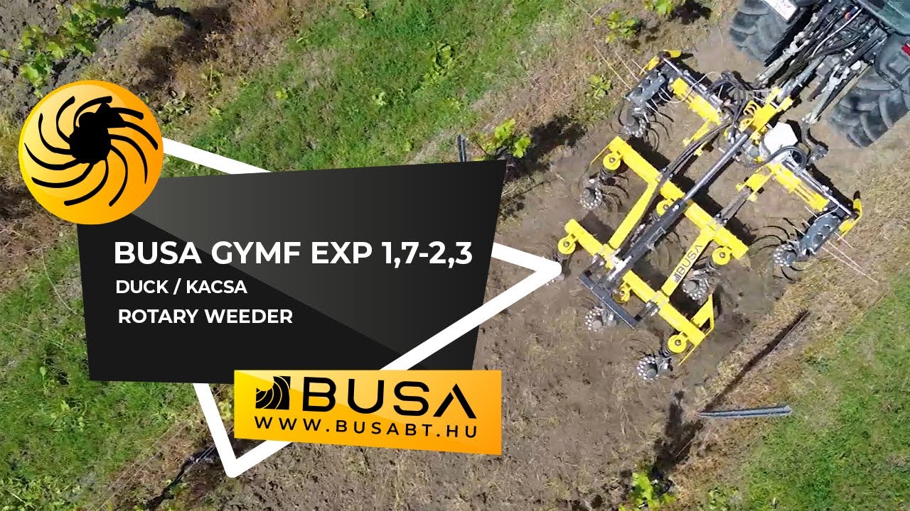 BUSA GYMF EXP 1,7-2,3 KACSA / DUCK Eger