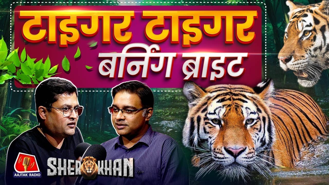 International Tiger Day on July 29, क्या है देश में बाघों का भविष्य: Sher Khan Ep 51 | Podcast