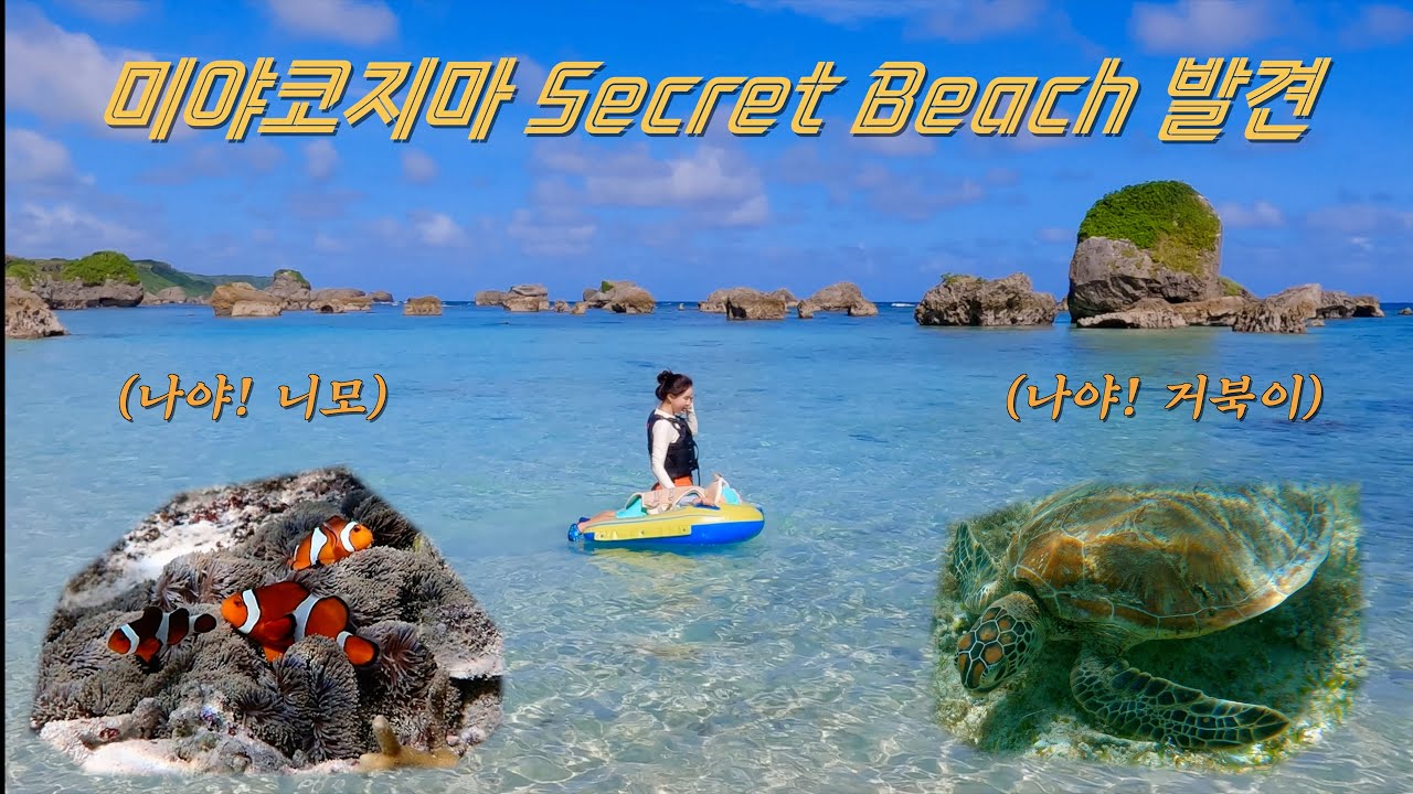 미야코지마 시크릿비치 포인트 발견!? | 바다거북이 실컷 봤네요 | 가성비여행코스 |브리즈베이리조트