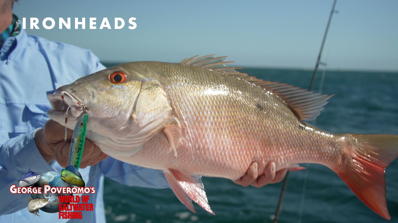 MUTTON SNAPPER & BLACKFIN TUNA, FLORIDA KEYS - 2022 SEASON - Episode 11; - 4K