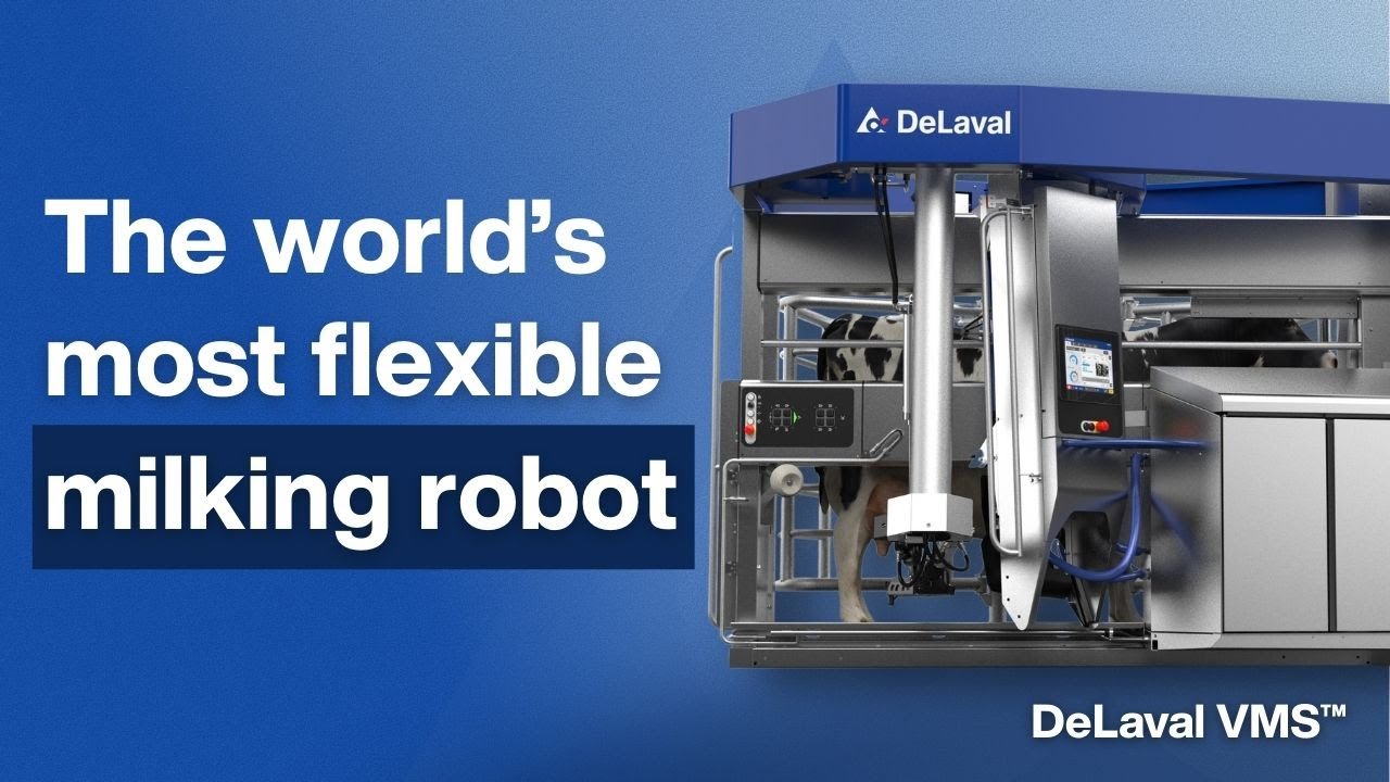 DeLaval VMS&trade; &ndash;  the world&rsquo;s most flexible milking robot