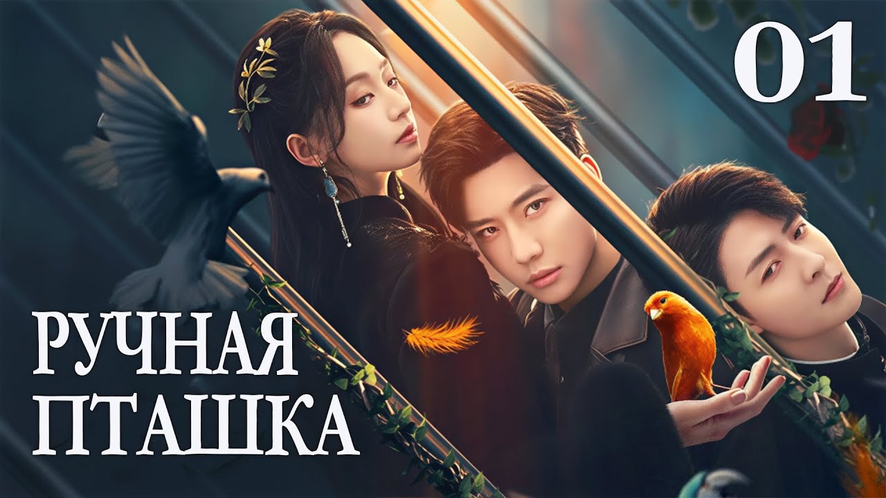 Ручная пташка 01 серия (русская озвучка) дорама Садистская любовь, Sadistic Love, 掌中雀