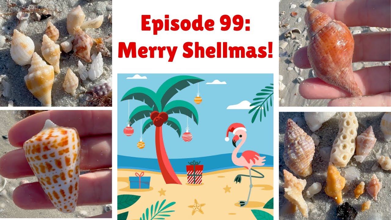 Episode 99: Merry Shellmas! 🐚🎄🌴☀️♥️