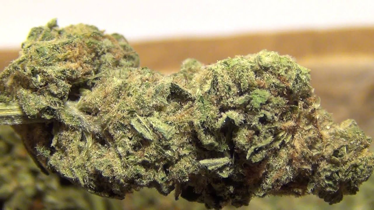 Showing some Frosty Nugs that were shipped from California to Delaware