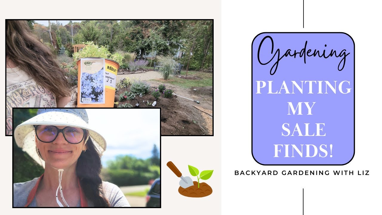  Planting Cheap Plant Finds 🌱 Can Budget Plants Really Thrive? (Gardening Journey EP 33)