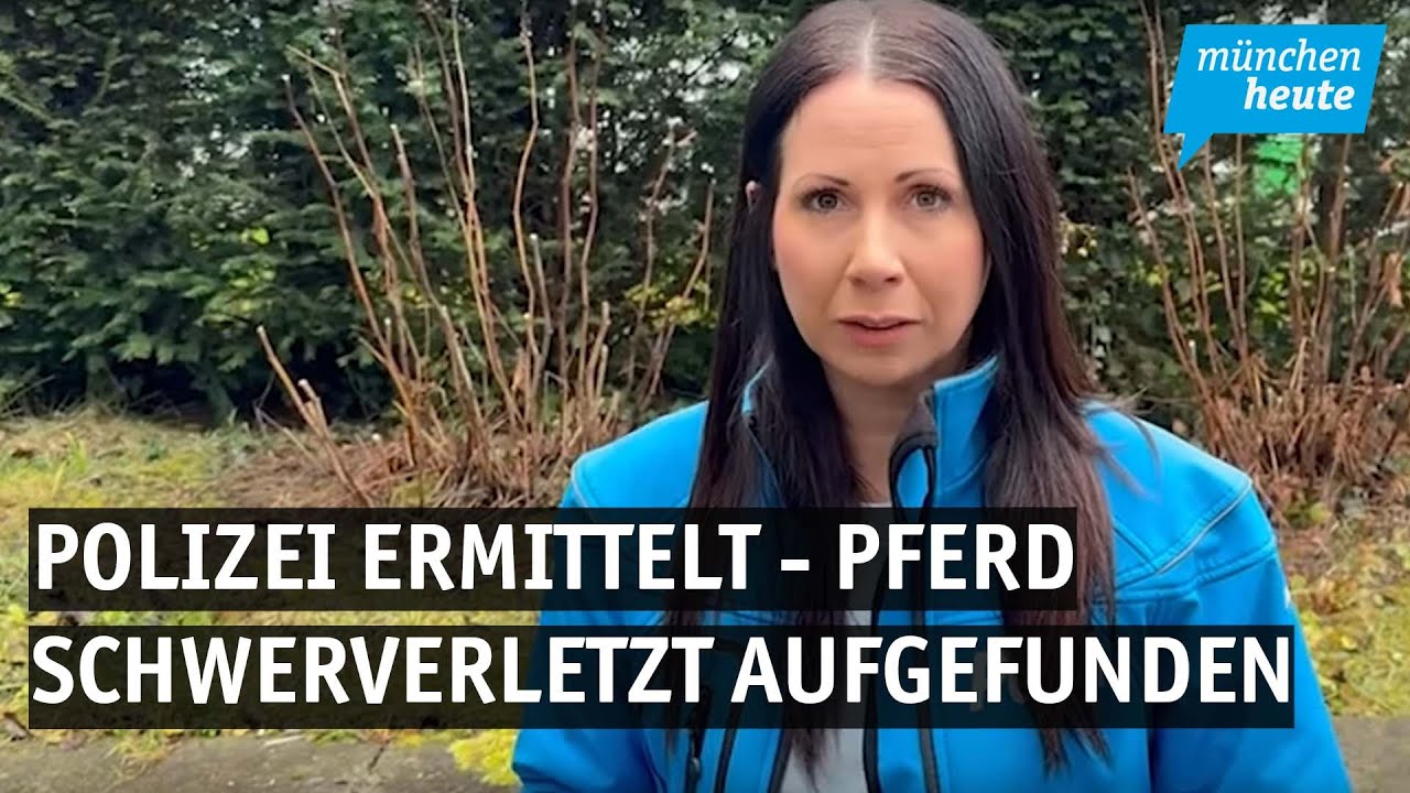 Polizei ermittelt &ndash; Pferd in Aubing wird schwerverletzt aufgefunden und stirbt