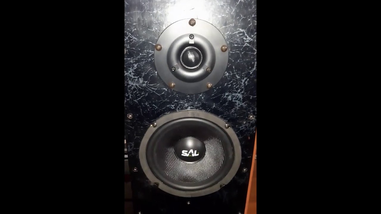 2xEL84 PP AHX1620 DTF12 4