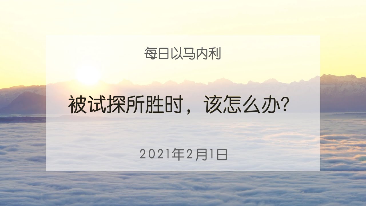 20210201 每日 | 被试探所胜时，该怎么办？