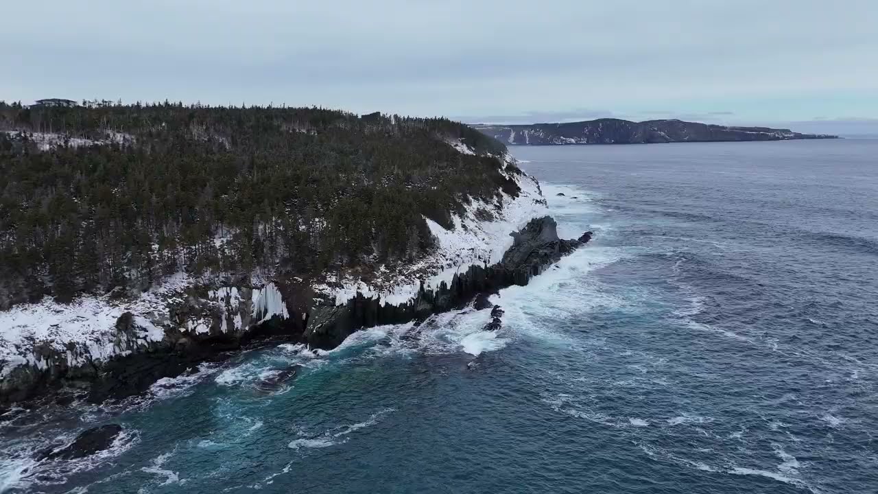 February 01, 2026 -  Signal Hill and Middle Cove Beach