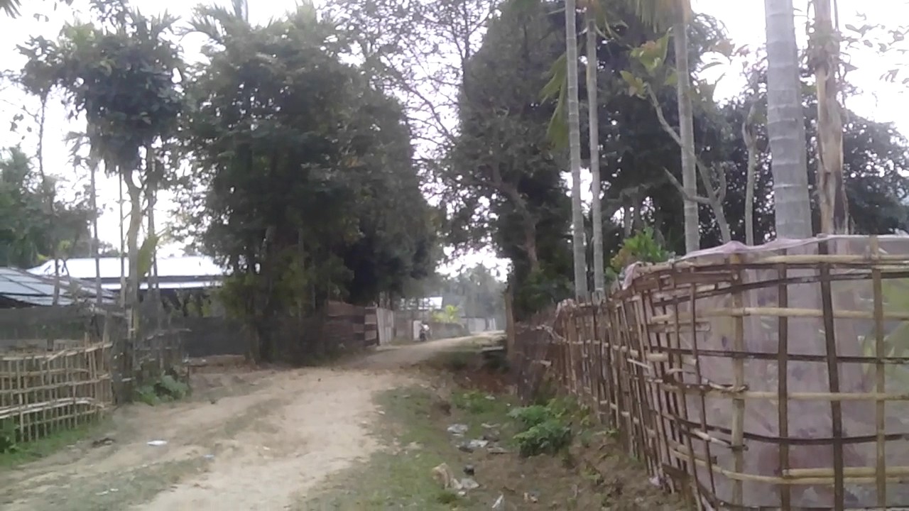 Beautiful windy and rainy weather Silapathar Assam