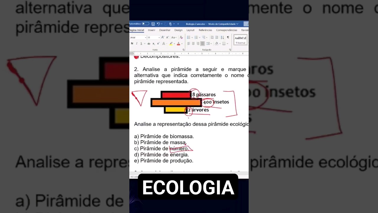 25 de março de 2024