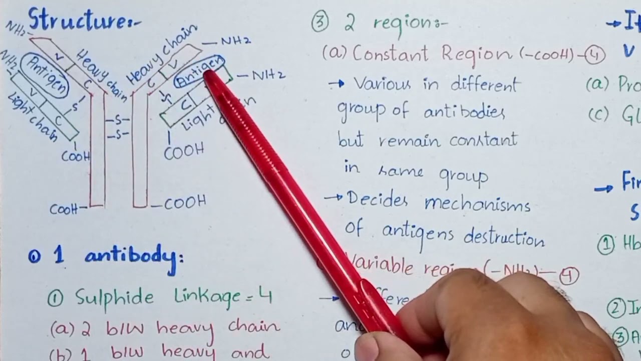 immunity MDCAT Biology Lectures| Unit Immunity | MCAT & NUMS