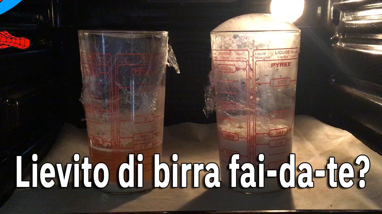 Lievito fai da te? Non è così semplice