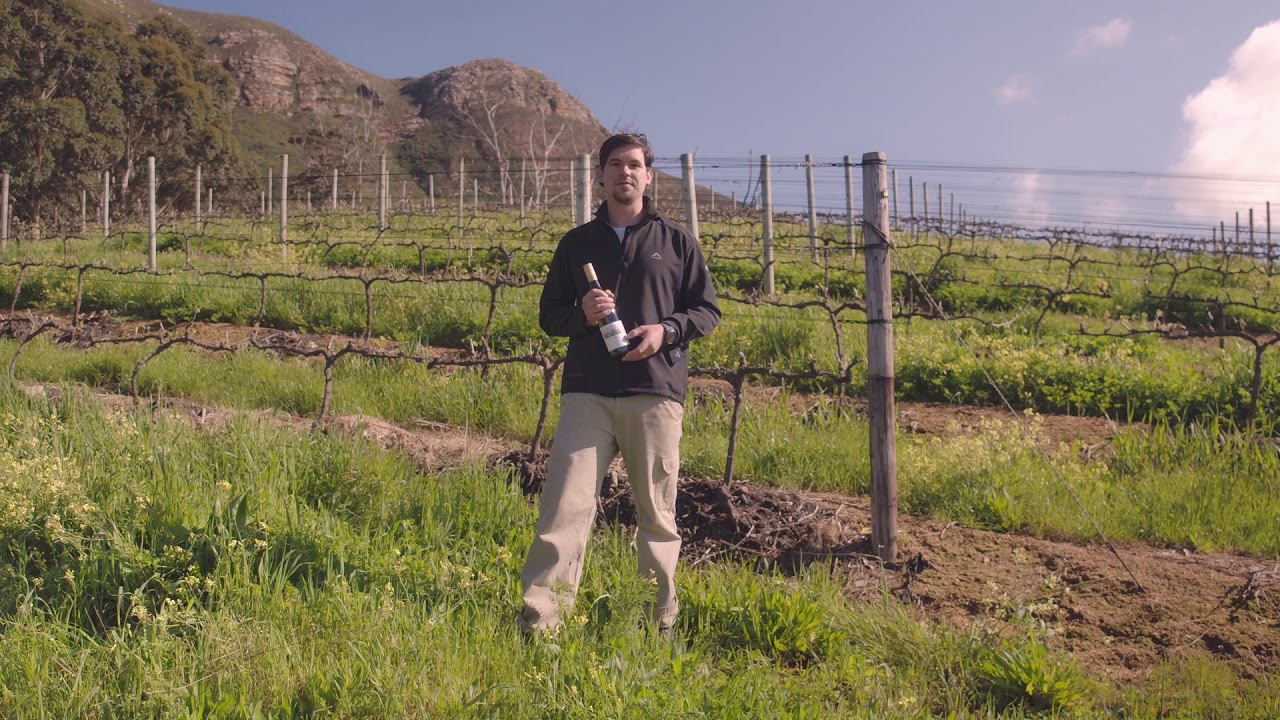 Klein Constantia Estate Riesling
