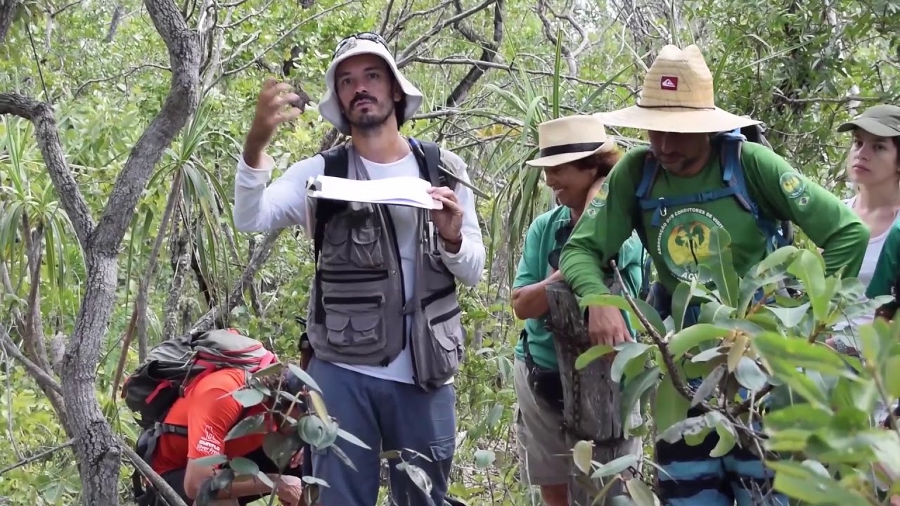 AULA DE CAMPO PNCV GEOLOGIA