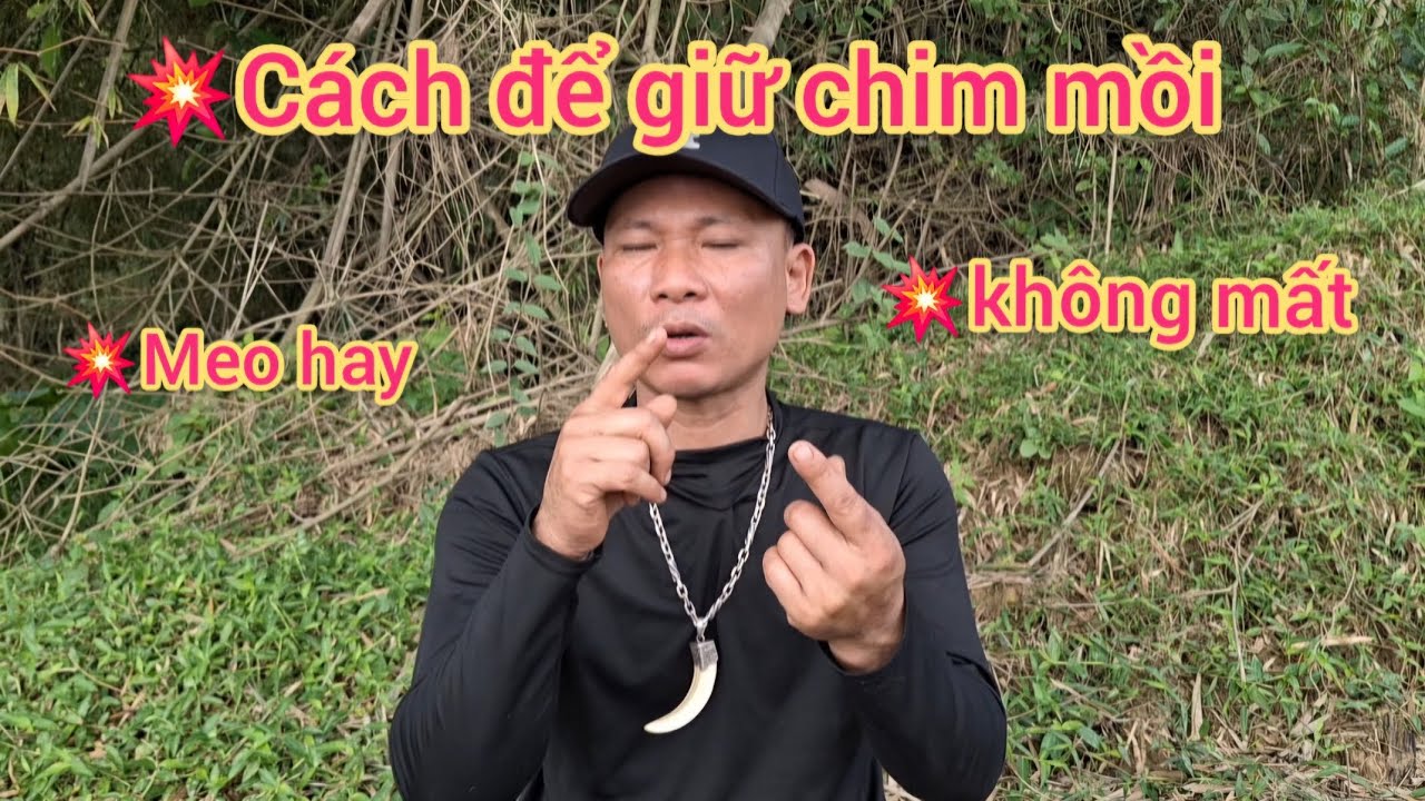 Đây Là Cách Để Giữ Chim Mồi Lúc Bị Bắt Thả Hết Thảy Chim | Mẹo Hay | đam mê độc lạ
