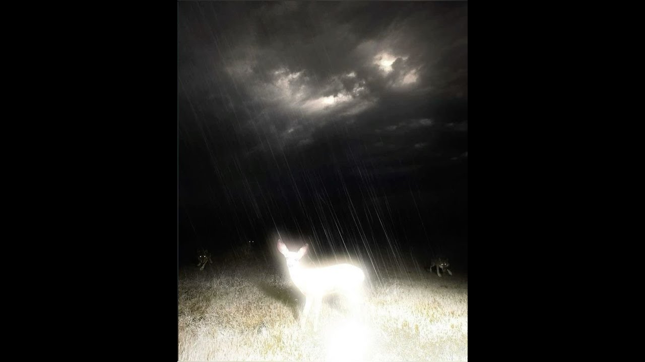 (Free) Skele x Drippin So Pretty - Emo Rap Type beat [Prod. Ghetto Wizard]