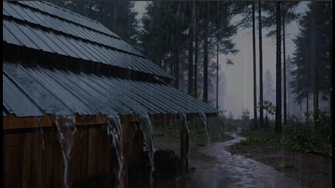 Natural Rain Sounds to Drift You to Sleep | Soft Rain for Deep Relaxation