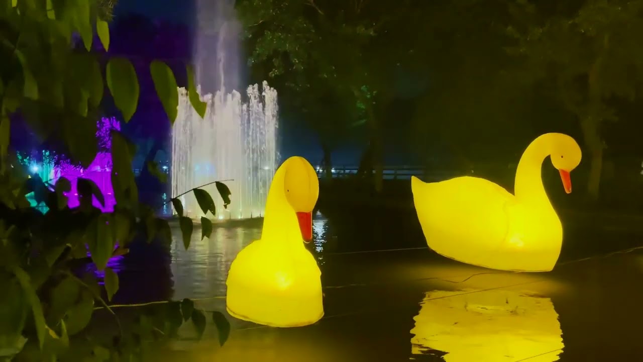 Canal Light Beautification by PHA Lahore | Stunning Night View | Green Lahore